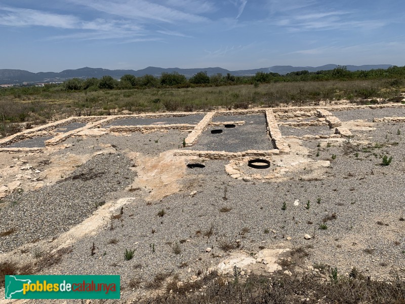 Nulles - Jaciment ibèric de Rabassats (Foto: Albert Esteves, 2019) Nulles - Jaciment ibèric de Rabassats