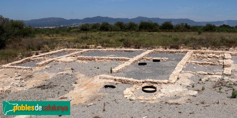 Nulles - Jaciment ibèric de Rabassats (Foto: Albert Esteves, 2019) Nulles - Jaciment ibèric de Rabassats