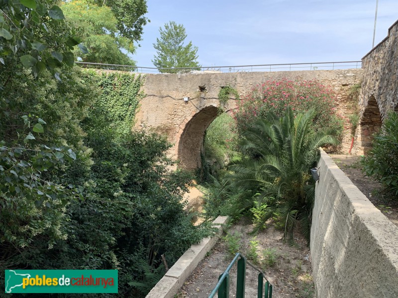 Vallmoll - Pont de la Rasa