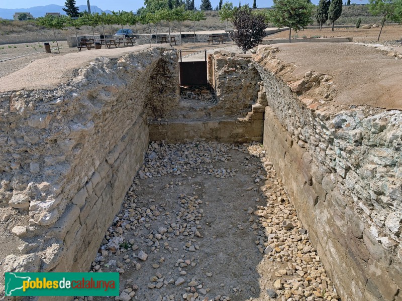 L'Aldea - Cisterna medieval de la Candela