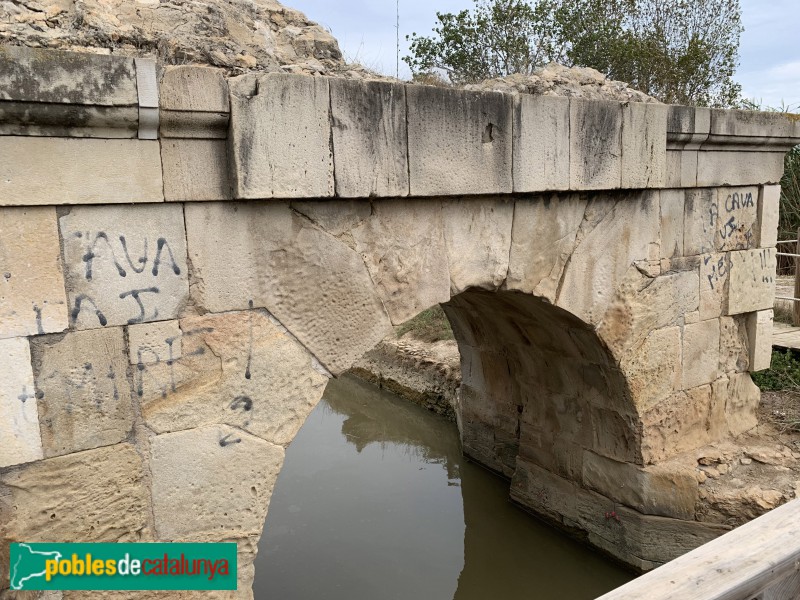 Deltebre - Pont del Rei o dels Moros (Foto: Albert Esteves, 2019) Deltebre - Pont del Rei o dels Moros