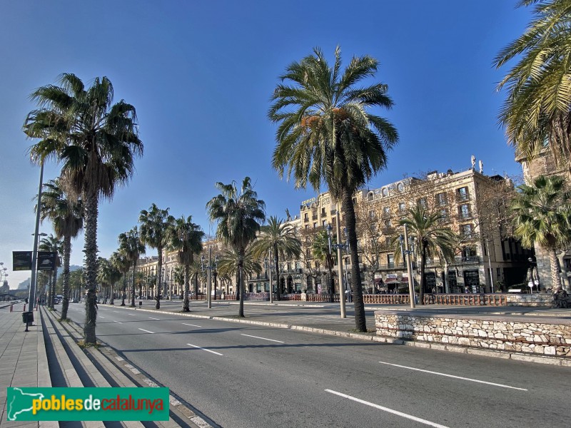 Barcelona - Passeig Colom (Foto: Albert Esteves, 2020) Barcelona - Passeig Colom