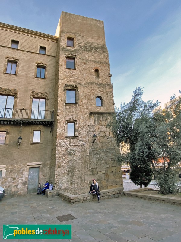 Barcelona - Torres romanes de la plaça Nova