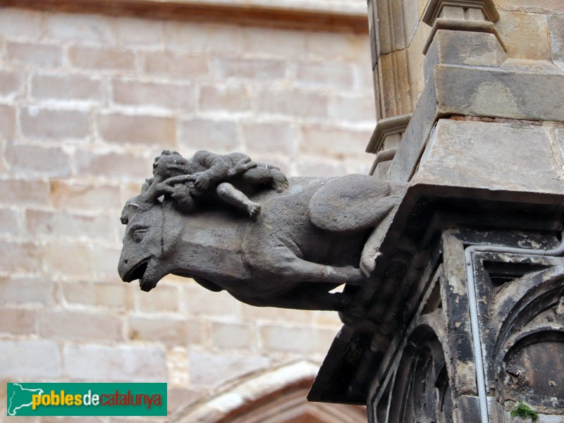 Barcelona - Catedral. Gàrgola del claustre