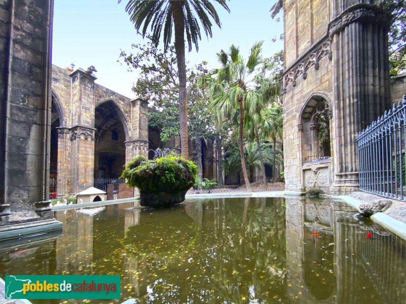 Barcelona - Claustre de la Catedral