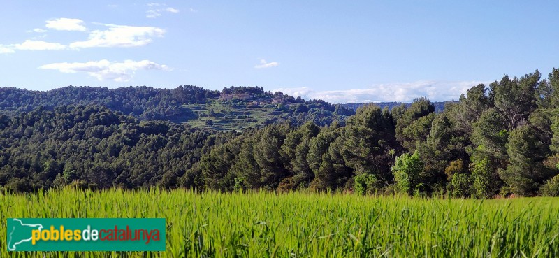 Sant Martí de Tous - Panoràmica de Fillol