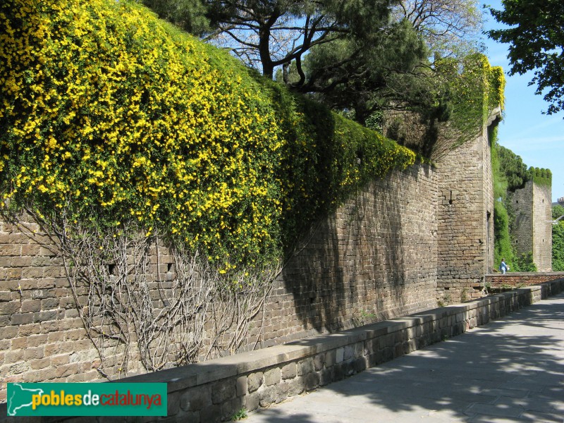 Barcelona - Muralla del segle XIV (Foto: Albert Esteves, 2020) Barcelona - Muralla del segle XIV
