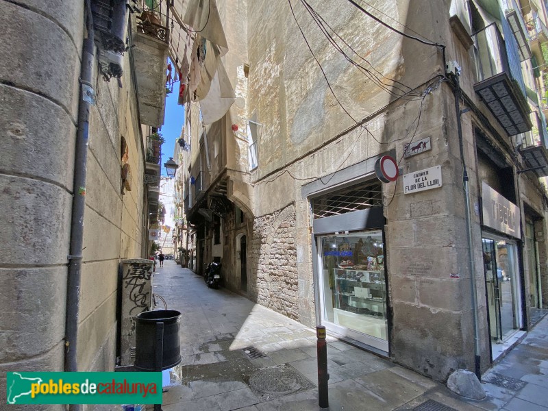 Barcelona - Carrer de la Flor del Lliri