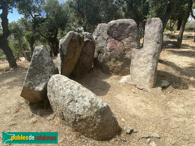 Calonge - Dolmen de Puigsesforques