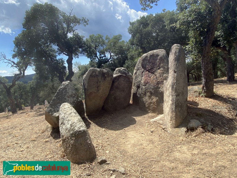 Calonge - Dolmen de Puigsesforques