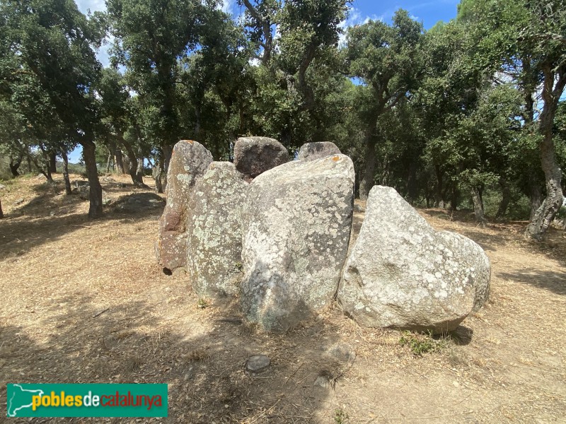 Calonge - Dolmen de Puigsesforques