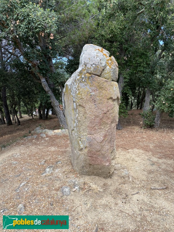 Calonge - Menhir de Puigsesforques
