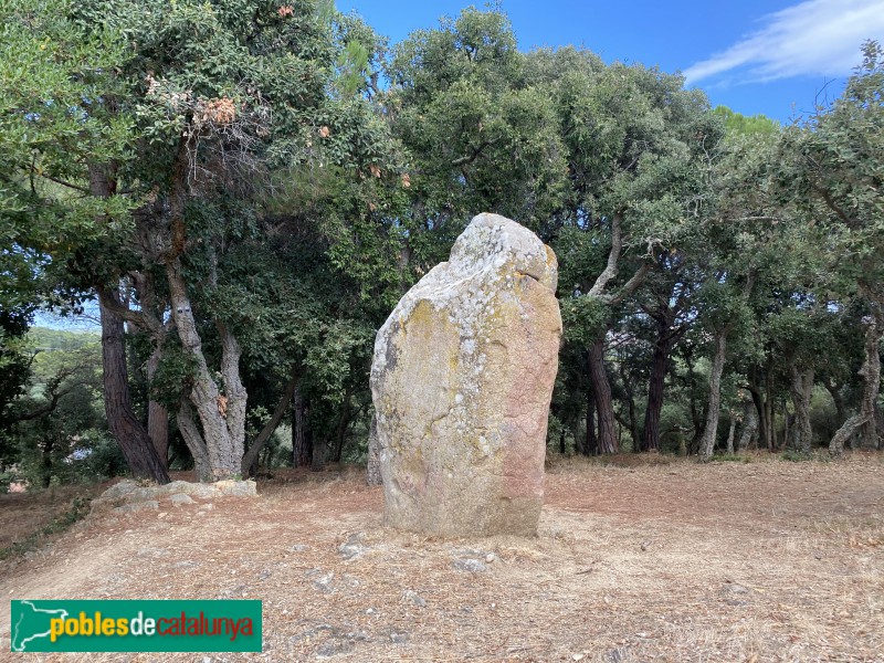 Calonge - Menhir de Puigsesforques