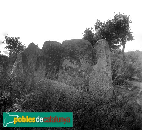 Calonge - Dolmen de Puigsesforques
