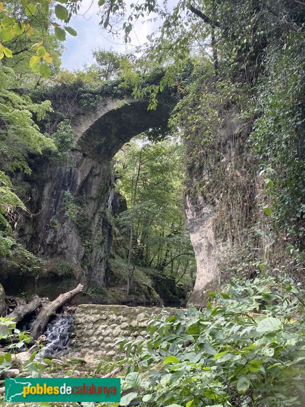 Canejan - Pont des Abadòs