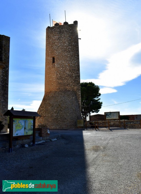 L'Aldea - Ermita de la Mare de Déu de l'Aldea