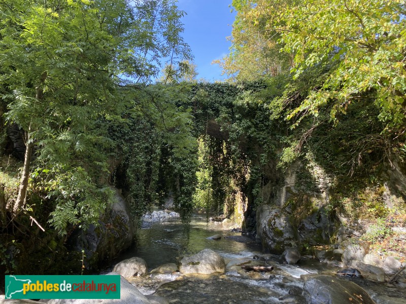 Es Bòrdes - Pont Vell o deth Joeu (Foto: Albert Esteves, 2020) Es Bòrdes - Pont Vell o deth Joeu