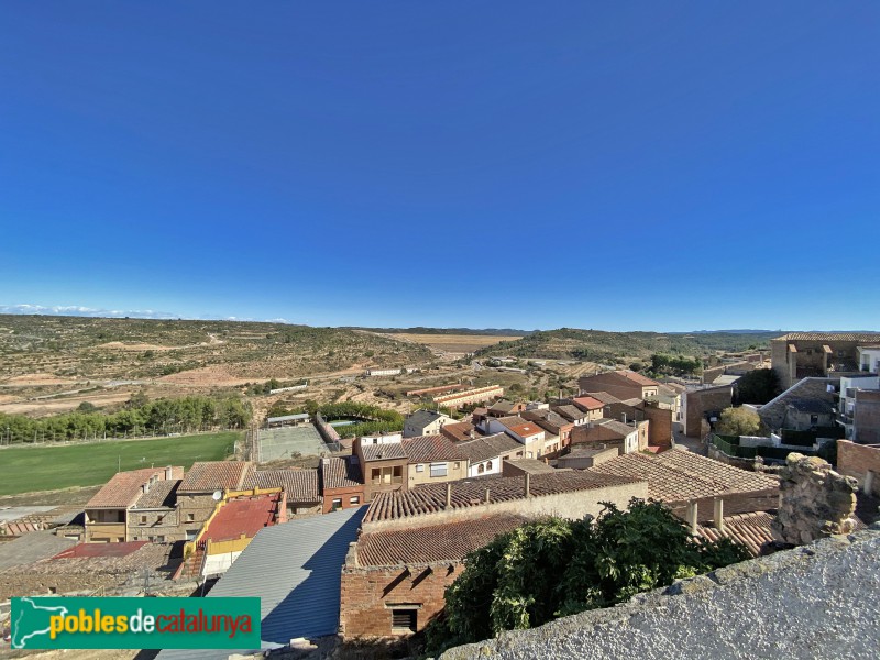 L'Albagés - Panoràmica des del castell (Foto: Albert Esteves, 2020) L'Albagés - Panoràmica des del castell