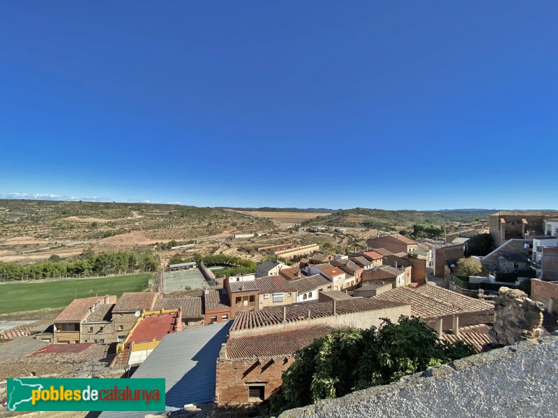 L'Albagés - Panoràmica des del castell