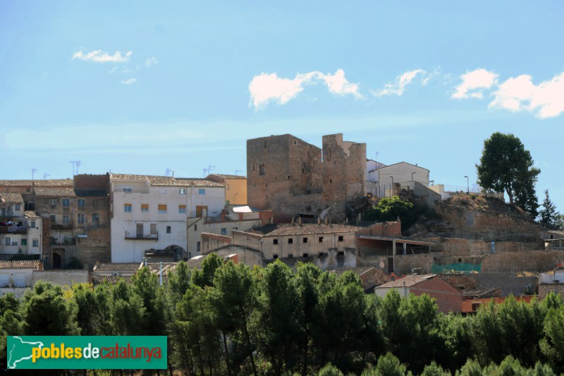 L'Albagés - Castell (Foto: Albert Esteves, 2020) L'Albagés - Castell
