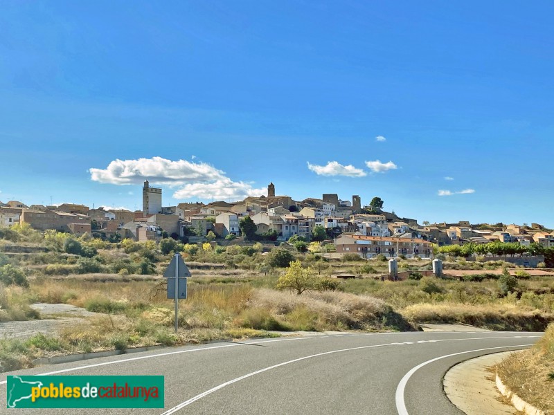 Panoràmica de l'Albagés