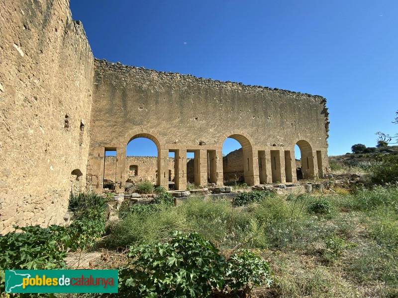 Granyena de les Garrigues - Molí de la Societat