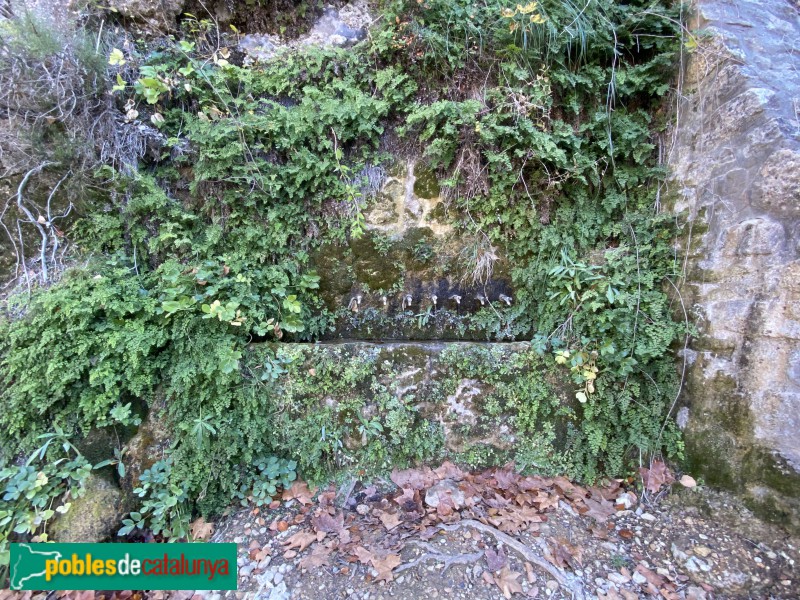 El Vilosell - Font de Sant Miquel (Foto: Albert Esteves, 2020) El Vilosell - Font de Sant Miquel
