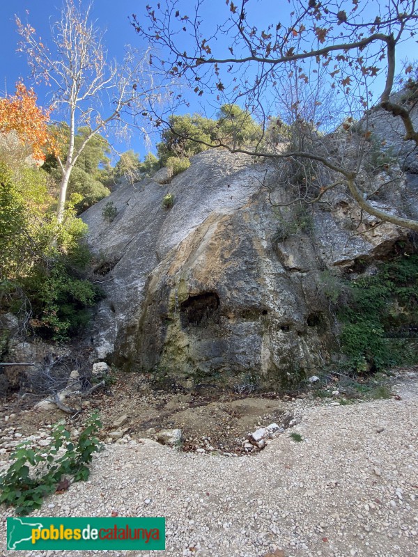 El Vilosell - Font de Sant Miquel (Foto: Albert Esteves, 2020) El Vilosell - Font de Sant Miquel