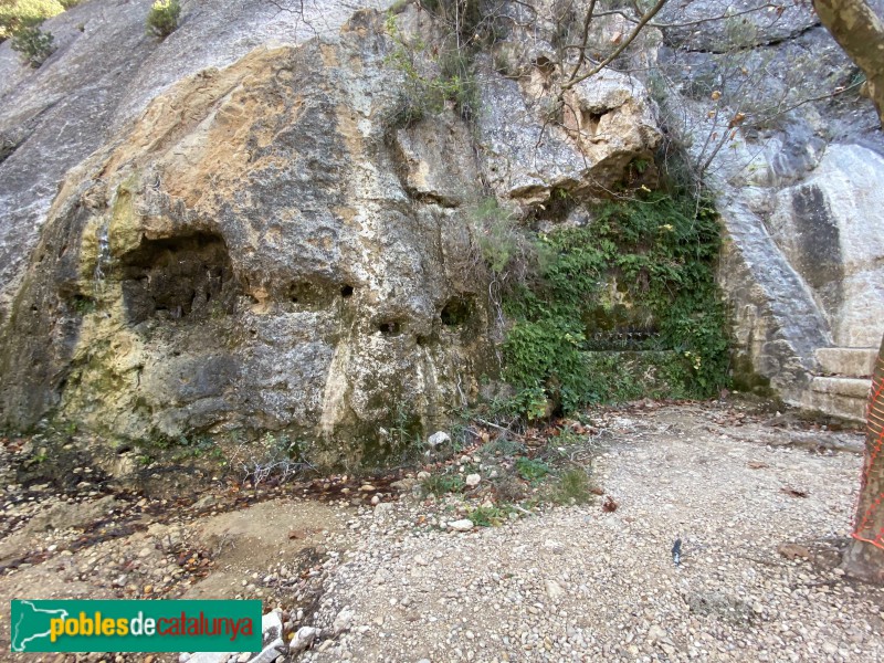El Vilosell - Font de Sant Miquel (Foto: Albert Esteves, 2020) El Vilosell - Font de Sant Miquel