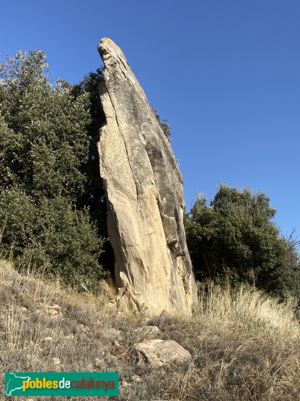 La Pobla de Cérvoles - Pedra dreta al costat de Lo Castell (Foto: Albert Esteves, 2020) La Pobla de Cérvoles - Pedra dreta al costat de Lo Castell