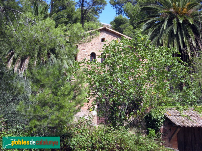 Corbera de Llobregat - Les Feixes