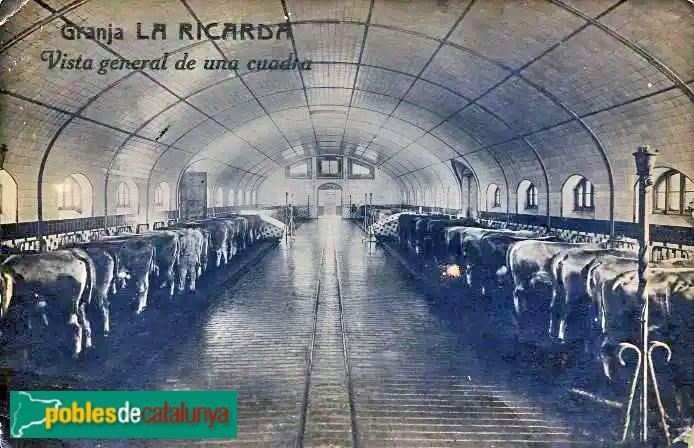 El Prat de Llobregat - Granja La Ricarda. Postal antiga