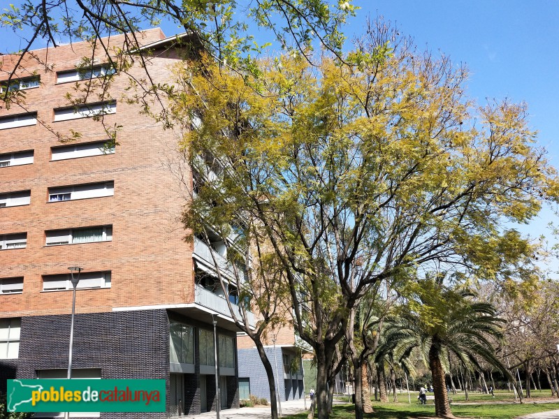 L'Hospitalet de Llobregat - Habitatges Tecla Sala