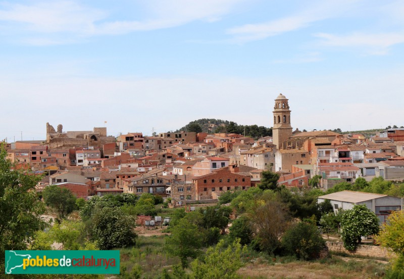 L'Albi. Panoràmica general