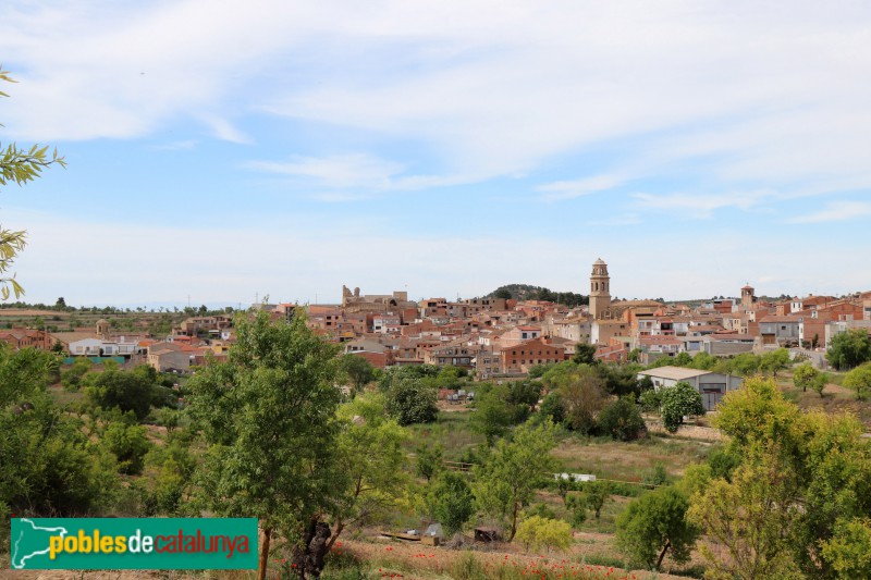 L'Albi. Panoràmica general