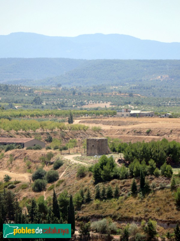 Arbeca - Ermita de Santa Caterina, des del castell