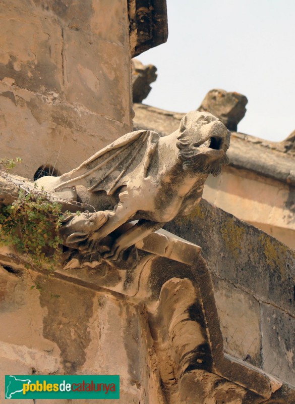 Tortosa - Catedral. Gàrgola