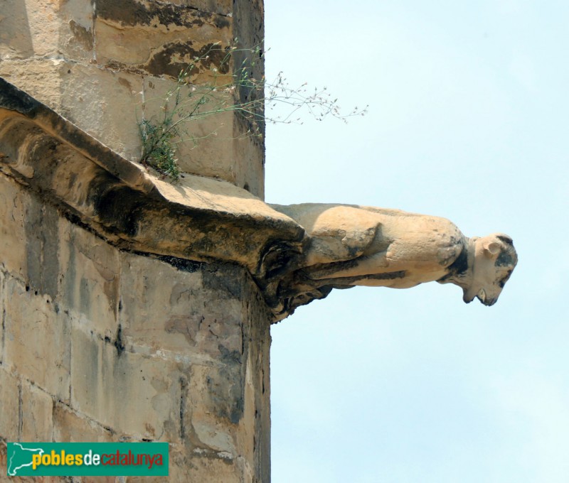 Tortosa - Catedral. Gàrgola