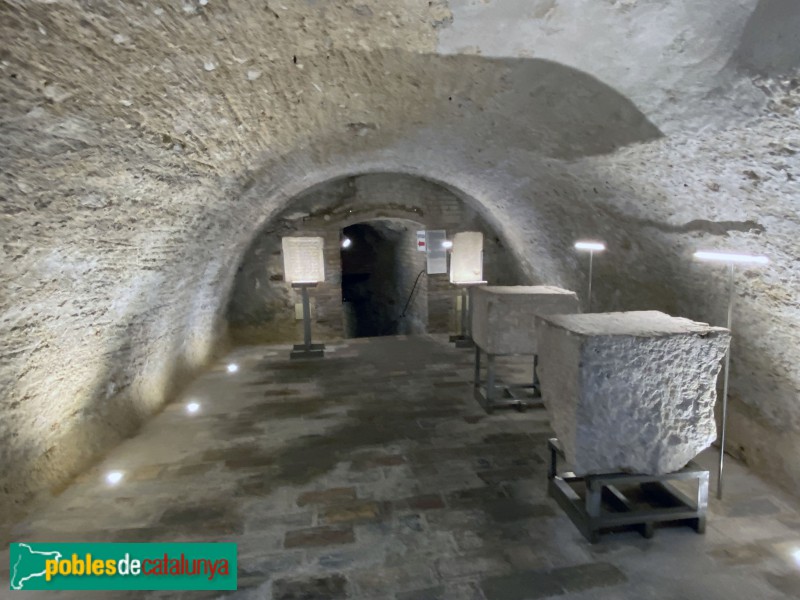 Tortosa - Museu de la Catedral. Soterrani de l'antiga casa del prior