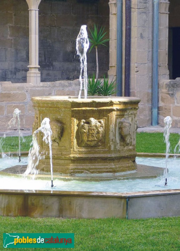 Tortosa - Font del claustre de la catedral