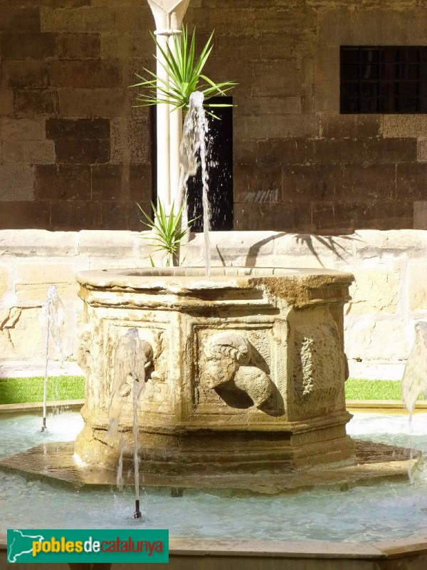 Tortosa - Font del claustre de la catedral