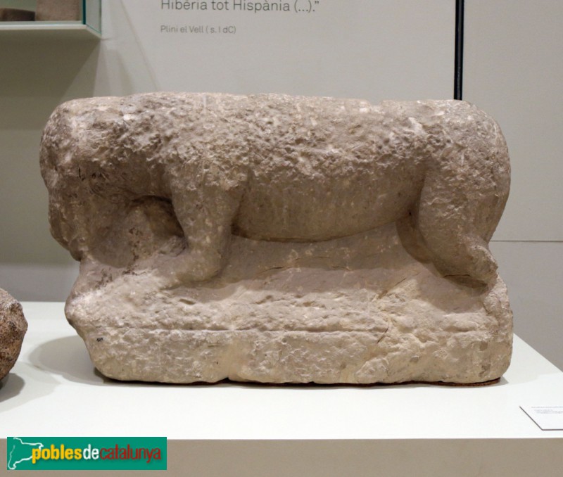 Museu de Tortosa - Escultura zoomòrfica ibèrica