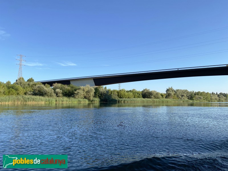 Tortosa - Pont del Mil·lenari