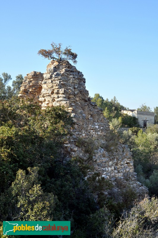 Xerta - Ruïnes del castell