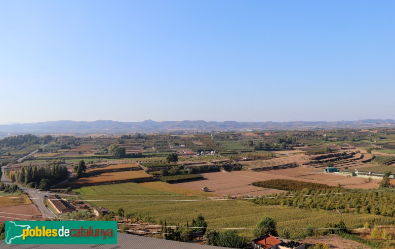 Puiggròs - Panoràmica des del carrer de la Muralla