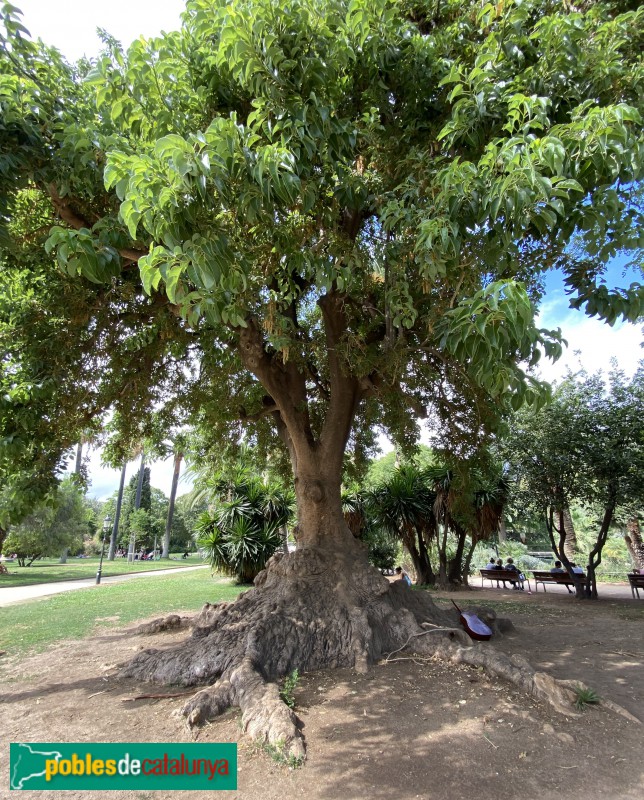 Barcelona - Parc de la Ciutadella