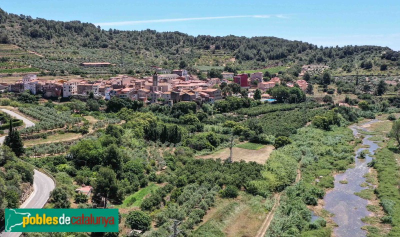 Valls - Picamoixons (Foto: Francesc Vidal-Barraquer, 2021) Valls - Picamoixons