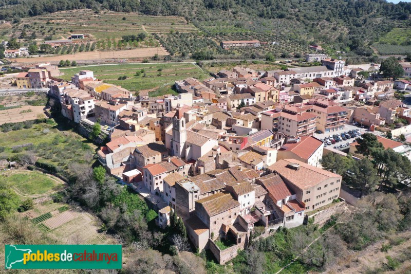 Valls - Picamoixons (Foto: Francesc Vidal-Barraquer, 2021) Valls - Picamoixons