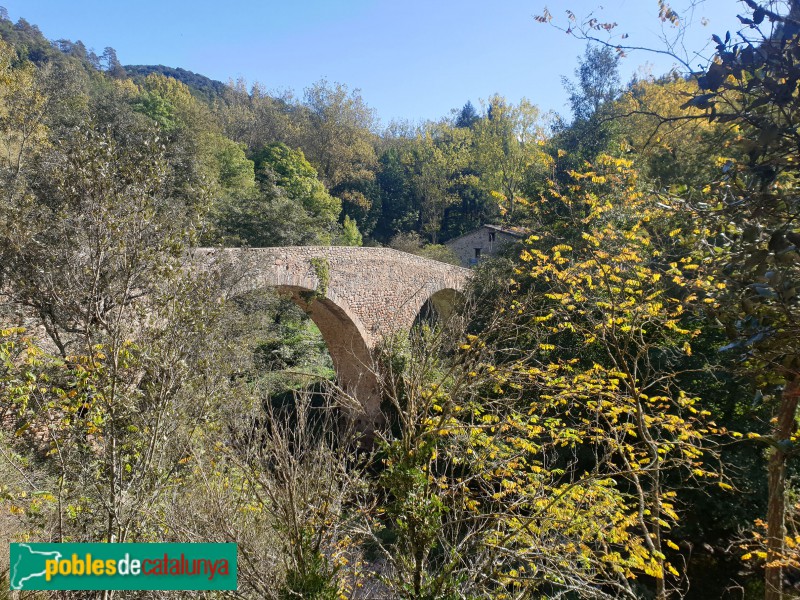 Vilanova de Sau - Pont de Malafogassa (Foto: Ferran Artigas, 2021) Vilanova de Sau - Pont de Malafogassa