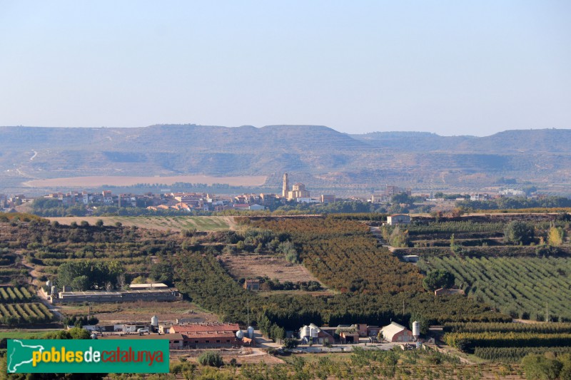 Panoràmica de les Borges Blanques (Foto: Albert Esteves, 2021) Panoràmica de les Borges Blanques